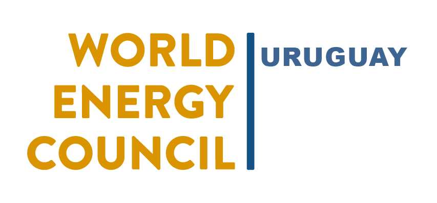 World energy council